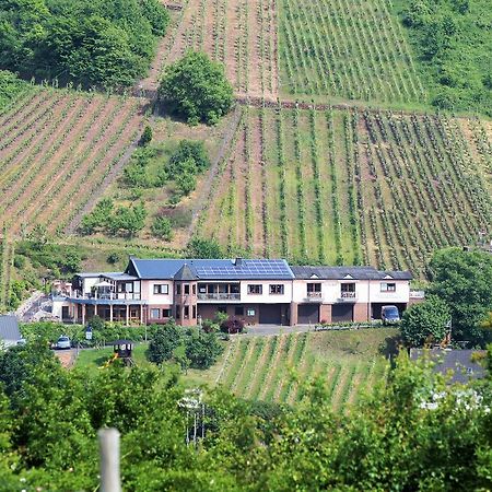 Urlaubsweingut Zecherhof Neef エクステリア 写真