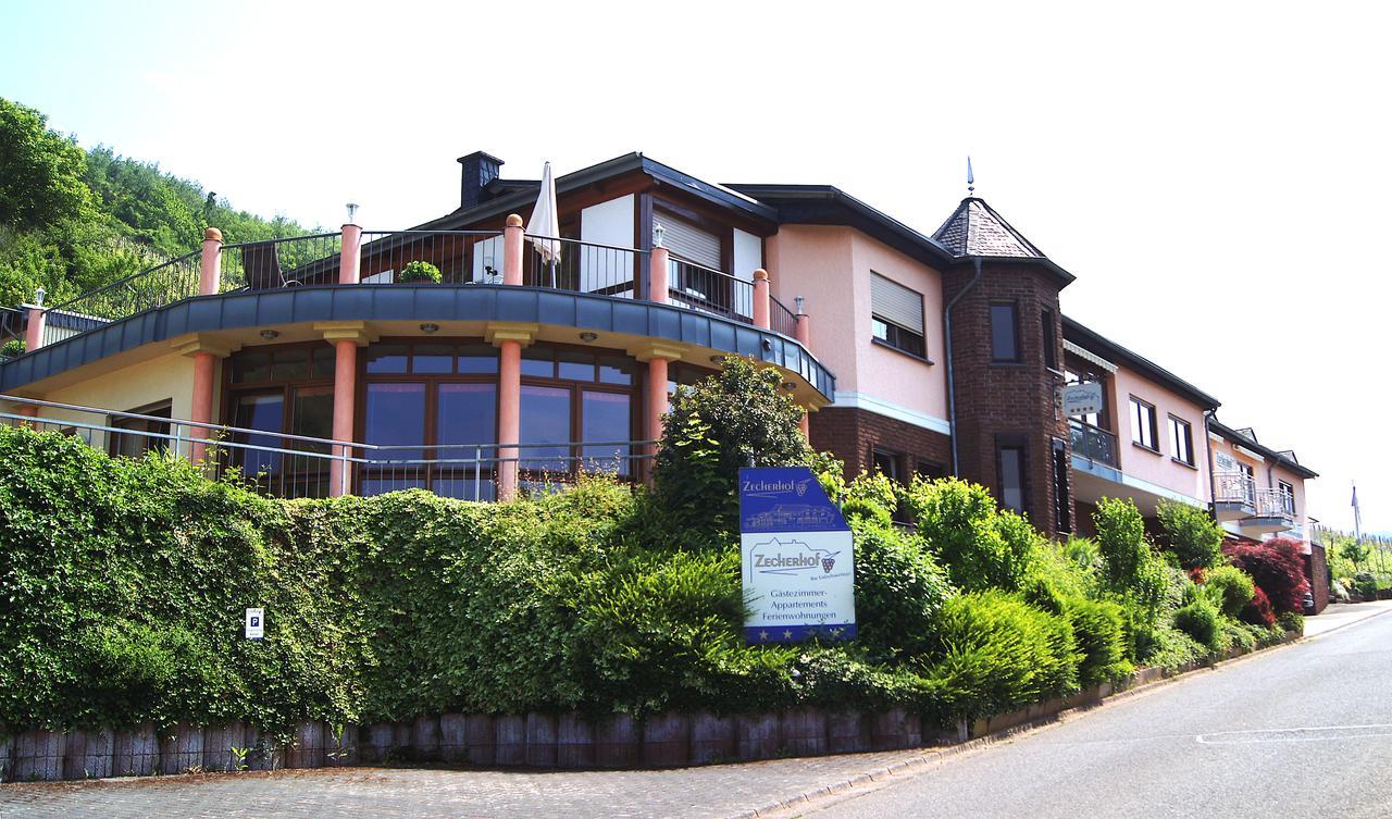 Urlaubsweingut Zecherhof Neef エクステリア 写真