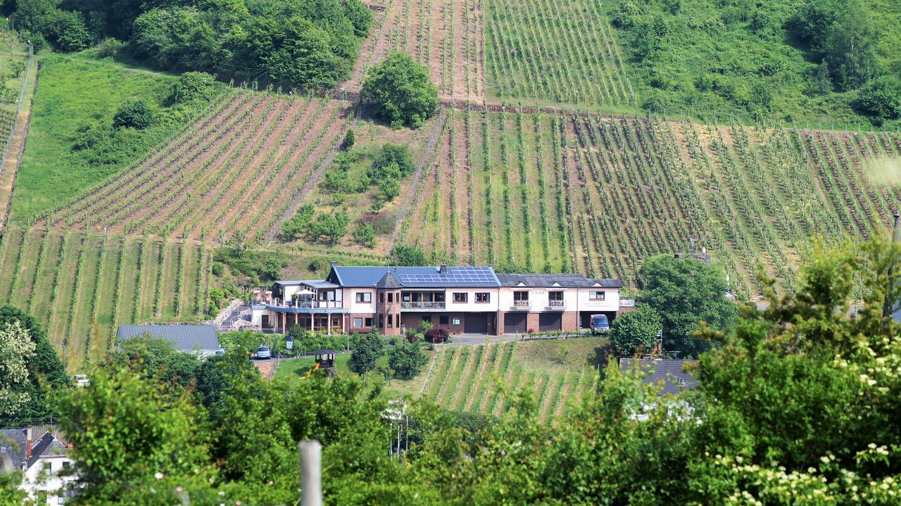 Urlaubsweingut Zecherhof Neef エクステリア 写真