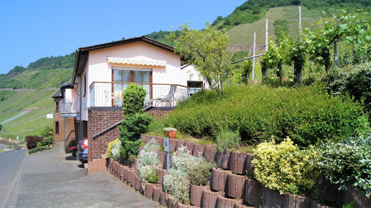 Urlaubsweingut Zecherhof Neef エクステリア 写真